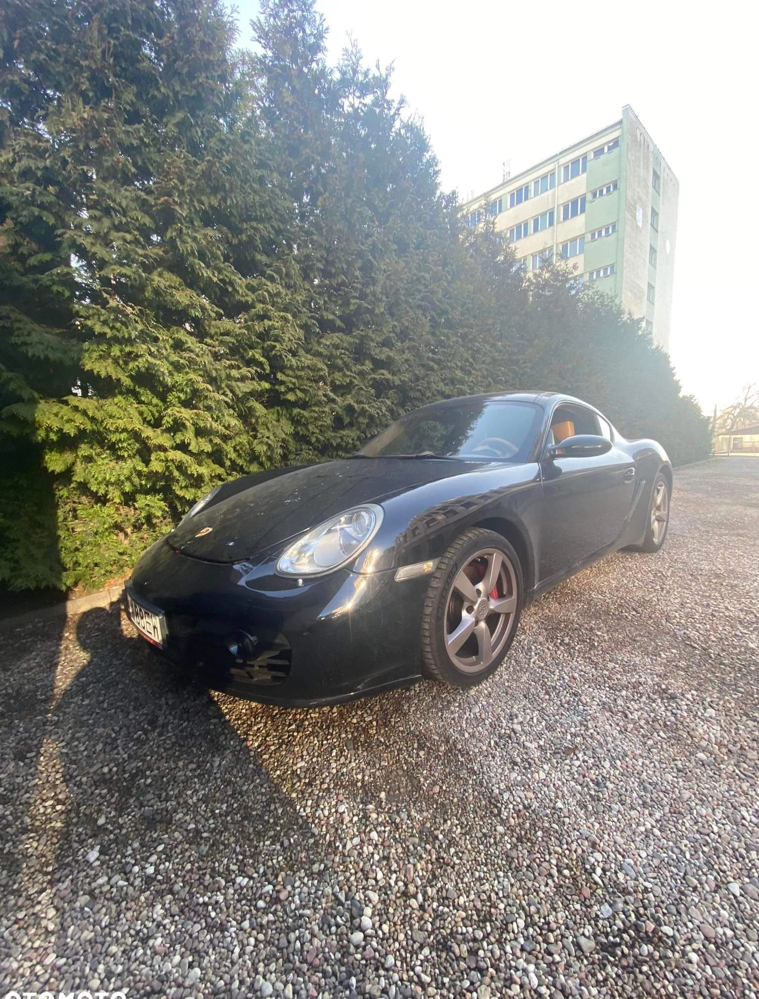 Porsche Cayman cena 119800 przebieg: 200000, rok produkcji 2007 z Gdynia małe 56